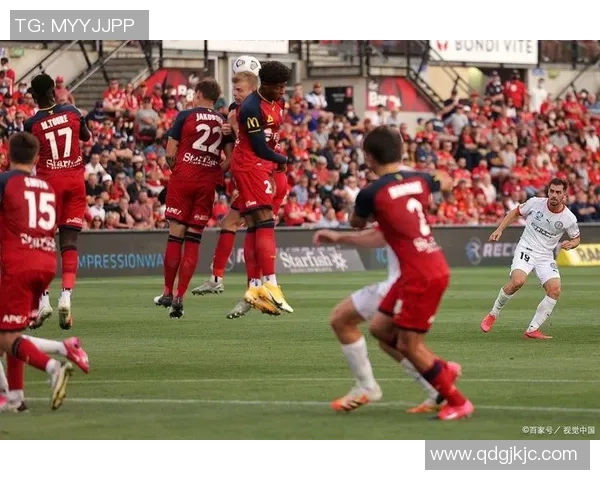 惠灵顿凤凰与墨尔本城足球对决深度分析与战术探讨